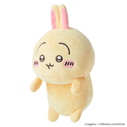 Posture Pal - CHiiKAWA Y5