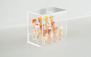 Sonny Angel Acrylic Display Case H0