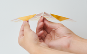 Papillon Origami Airplanes T6