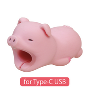 CABLE BITE for Type-C USB U8