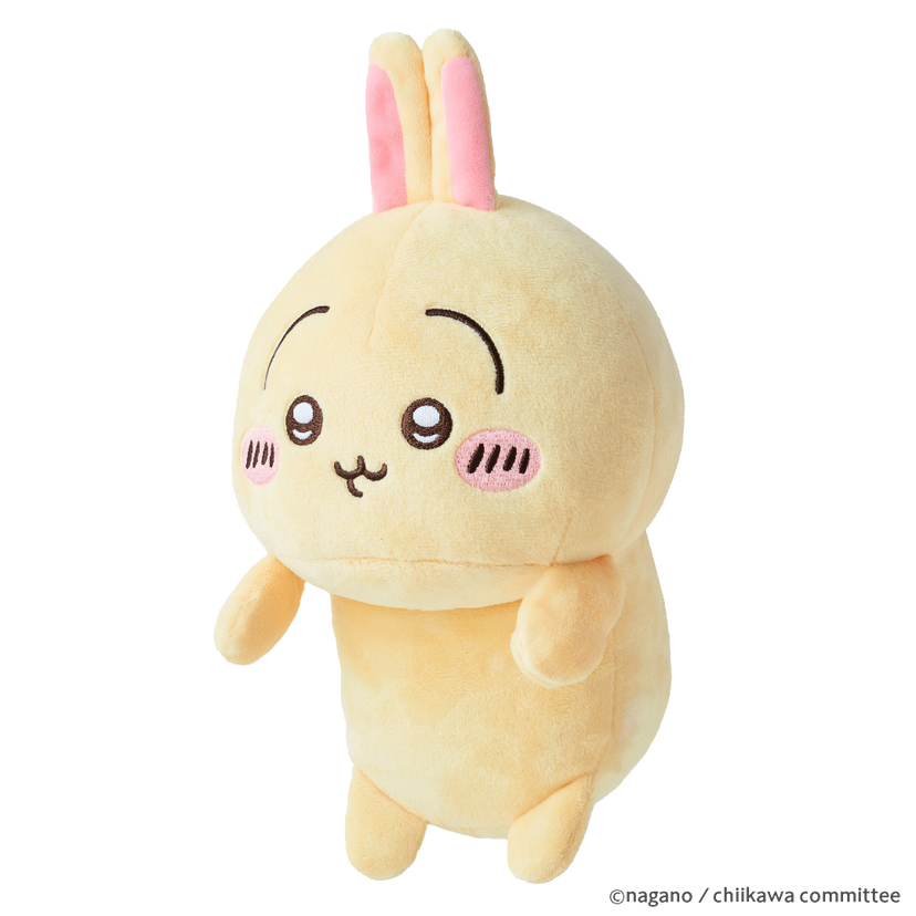 Posture Pal - CHiiKAWA Y5