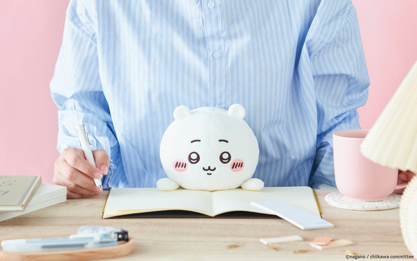 Posture Pal - CHiiKAWA Y5