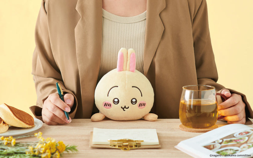 Posture Pal - CHiiKAWA Y5