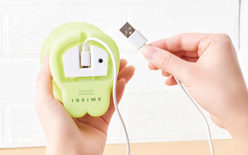 SMISKI Touch Light A2