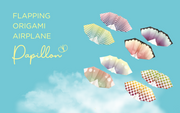 Papillon Origami Airplanes T6