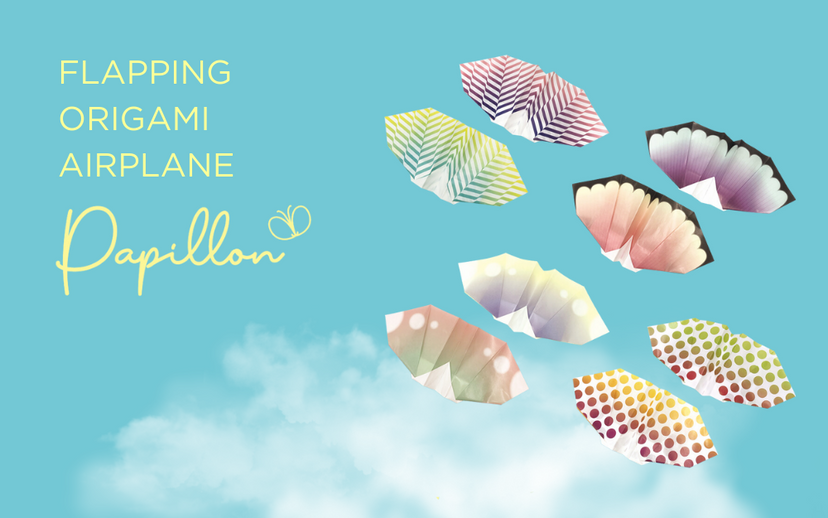 Papillon Origami Airplanes T6