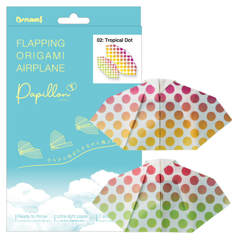 Papillon Origami Airplanes T6